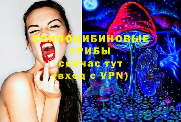 прущий лед Верея