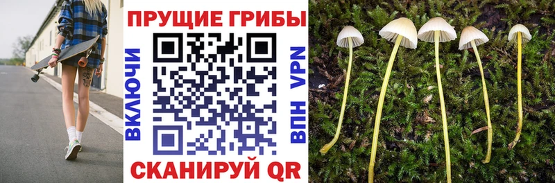 продажа наркотиков  Каменка  Псилоцибиновые грибы ЛСД 